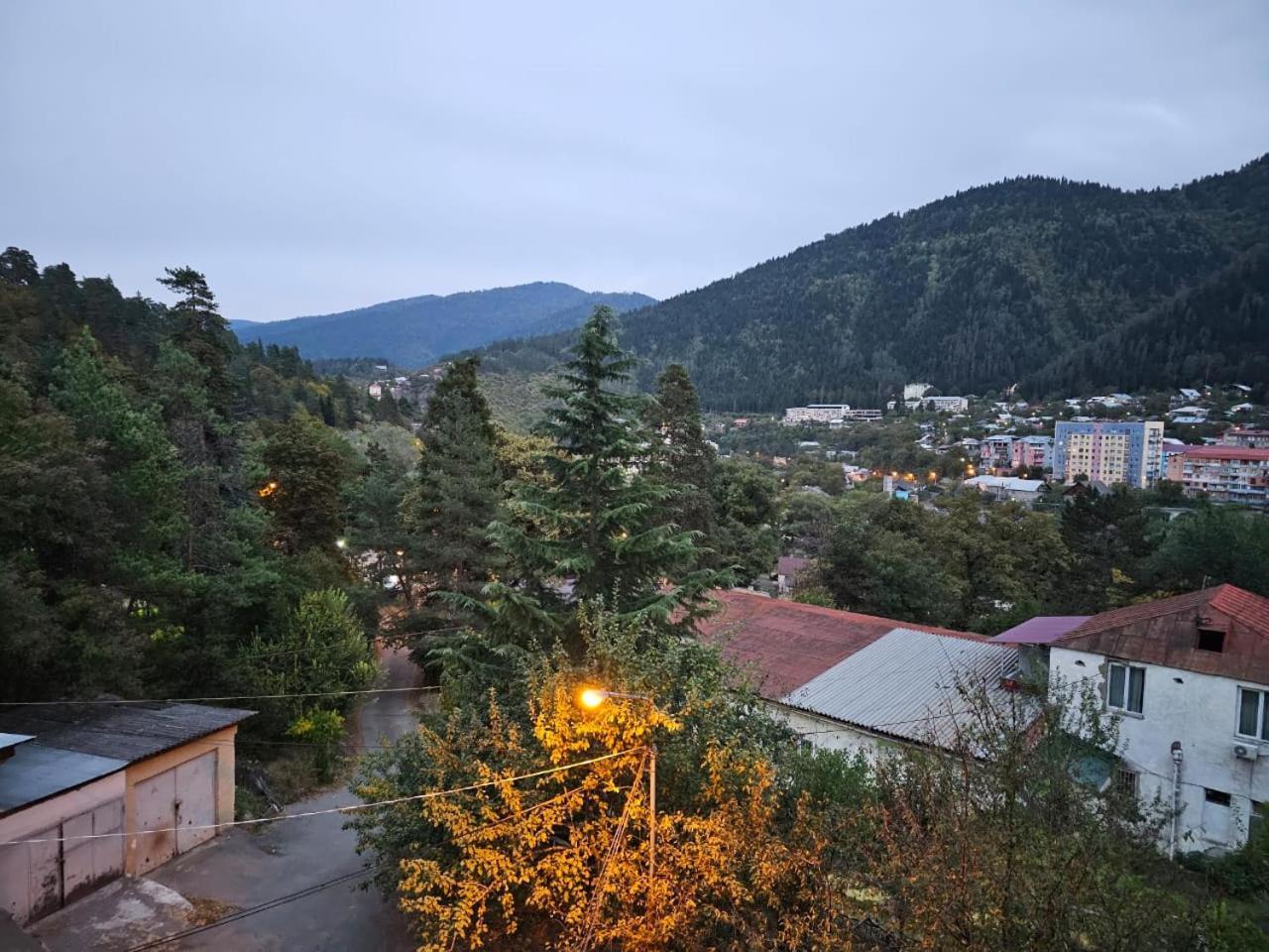 Guest House Likani 2017 Borjomi Room photo